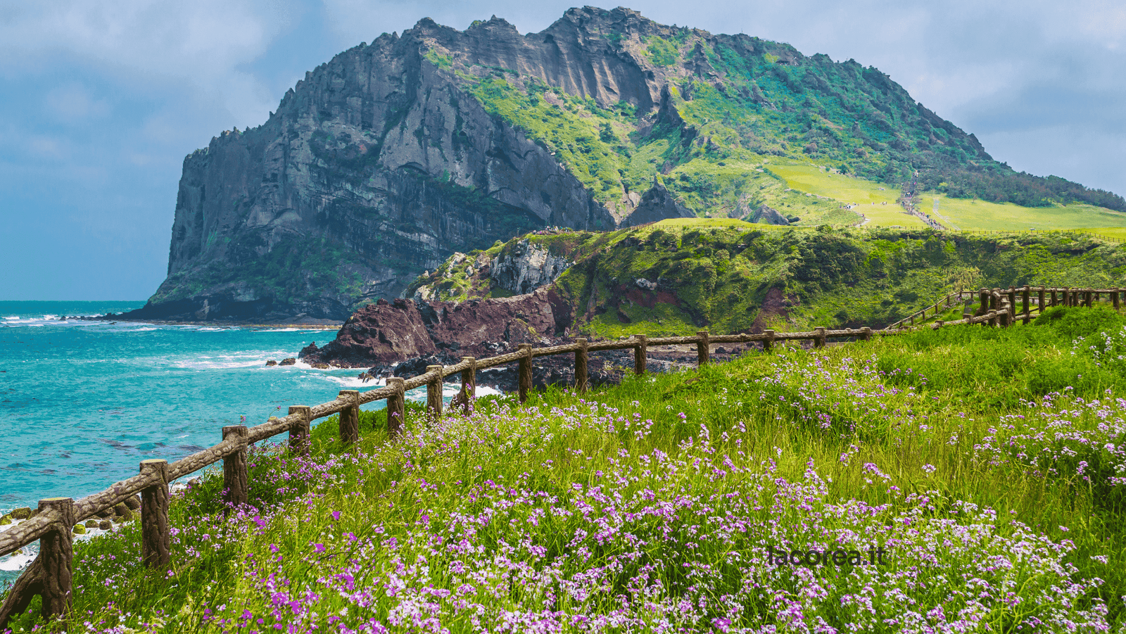Visita l'isola di Jeju, incantevole isola vulcanica coreana